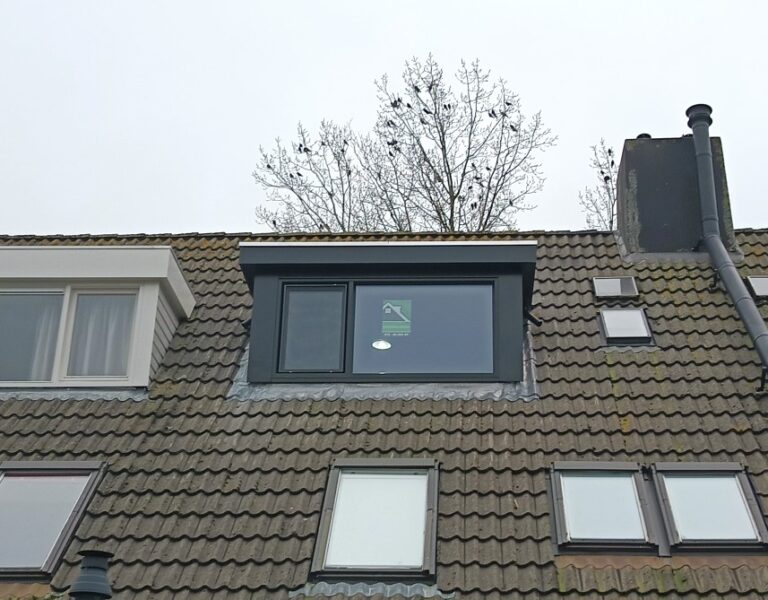 Kunststof met houtnerf  Dakkapel met plat dak – Koedijk 3