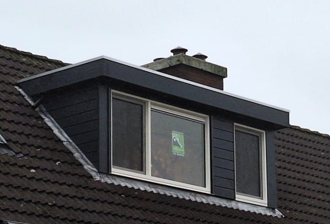 1441PL - Dakkapel met plat dak - Purmerend